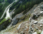 Kitzwald 2